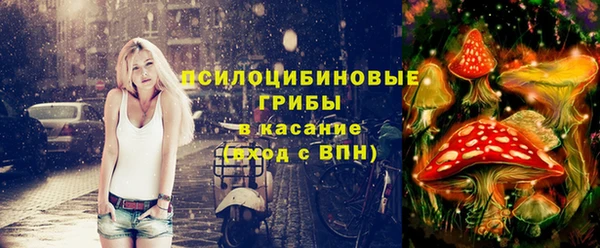 бошки Верхний Тагил