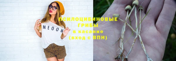 гашик Тихорецк