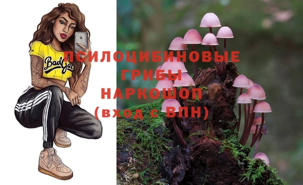 бошки Верхний Тагил