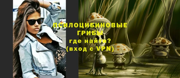 бошки Верхний Тагил