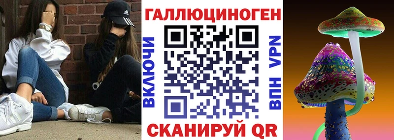 сайты даркнета официальный сайт  Новохопёрск  Псилоцибиновые грибы GOLDEN TEACHER  закладка 